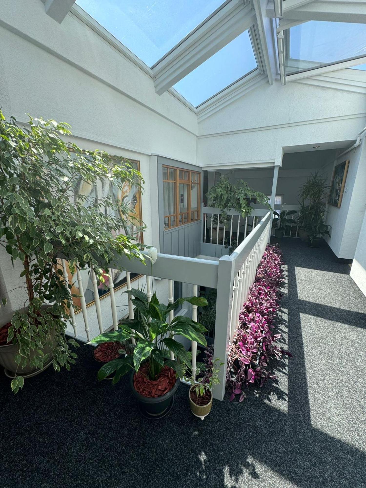 Villa Helvetia Târgu-Mureş Exterior foto